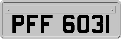 PFF6031