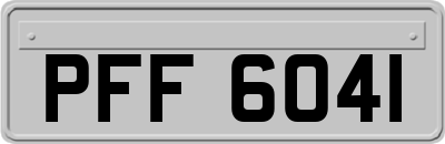 PFF6041