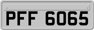 PFF6065