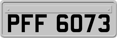 PFF6073