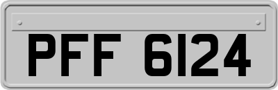PFF6124