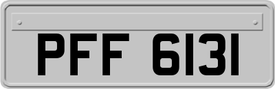 PFF6131