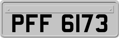 PFF6173