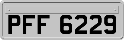 PFF6229