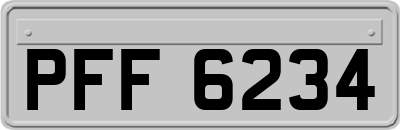 PFF6234