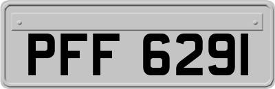 PFF6291