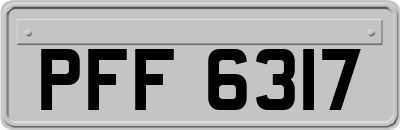PFF6317