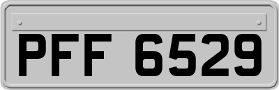 PFF6529