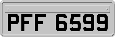 PFF6599