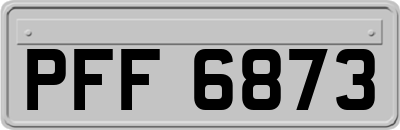 PFF6873