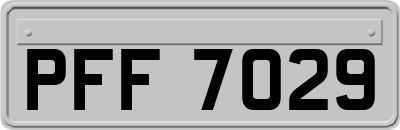PFF7029