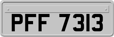 PFF7313