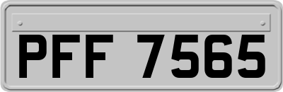 PFF7565