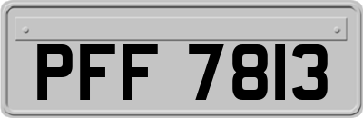 PFF7813