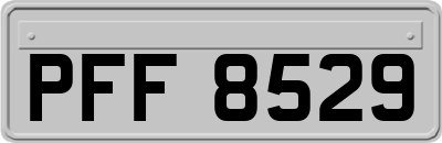 PFF8529