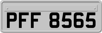 PFF8565