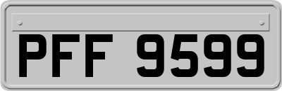 PFF9599