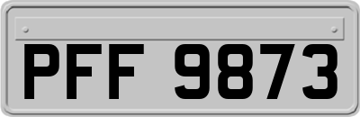 PFF9873