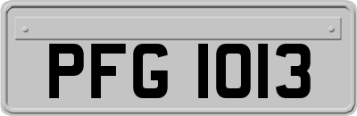 PFG1013
