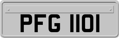 PFG1101