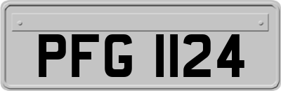 PFG1124