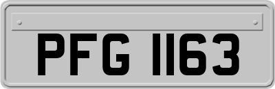 PFG1163