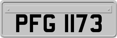 PFG1173