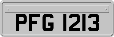 PFG1213