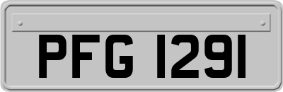 PFG1291