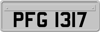 PFG1317