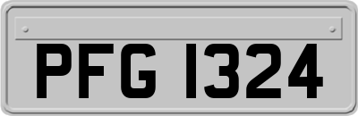 PFG1324