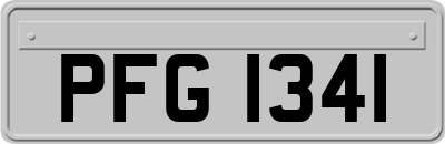 PFG1341
