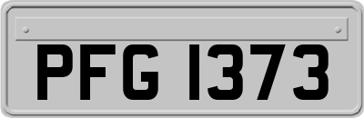 PFG1373