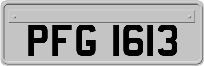 PFG1613