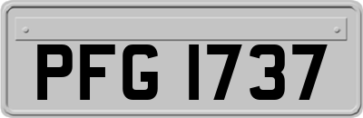 PFG1737