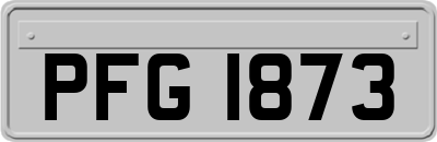 PFG1873