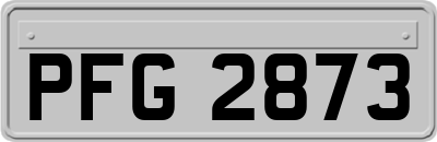 PFG2873