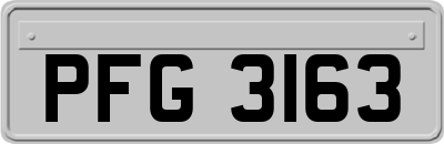 PFG3163