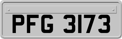 PFG3173