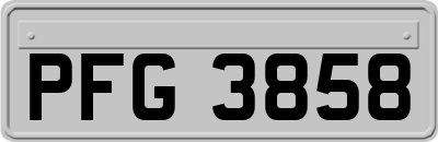 PFG3858