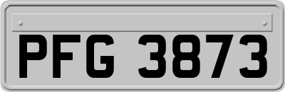 PFG3873