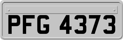 PFG4373