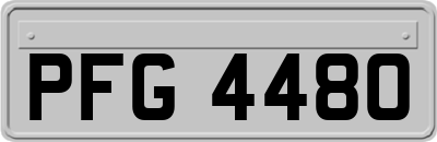 PFG4480