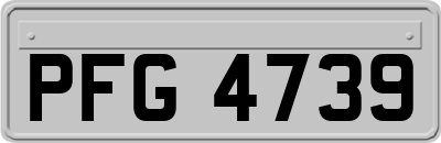 PFG4739