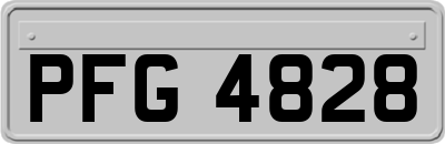PFG4828