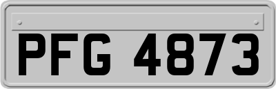PFG4873