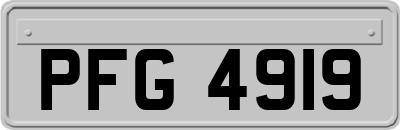 PFG4919