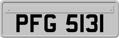 PFG5131