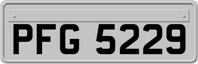 PFG5229