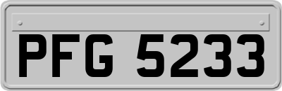PFG5233